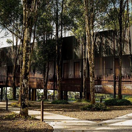 Teras Hotel Ijen Banyuwangi Бануванги Екстериор снимка